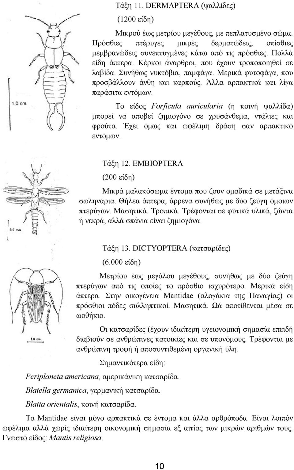 Το είδος Forficula auricularia (η κοινή ψαλλίδα) µπορεί να αποβεί ζηµιογόνο σε χρυσάνθεµα, ντάλιες και φρούτα. Έχει όµως και ωφέλιµη δράση σαν αρπακτικό εντόµων. Τάξη 12.