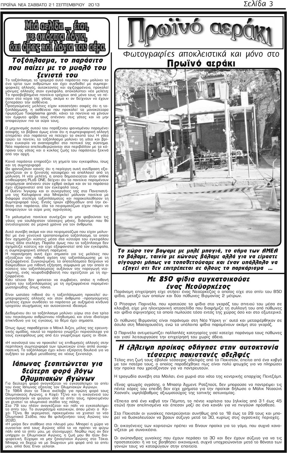 της γάτας, ακόμα κι αν δείχνουν να έχουν ξεπεράσει την ασθένεια.