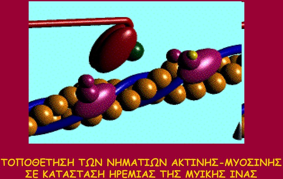 ΑΗΣΖΚΕ-ΙΤΟΖΚΕ Γ