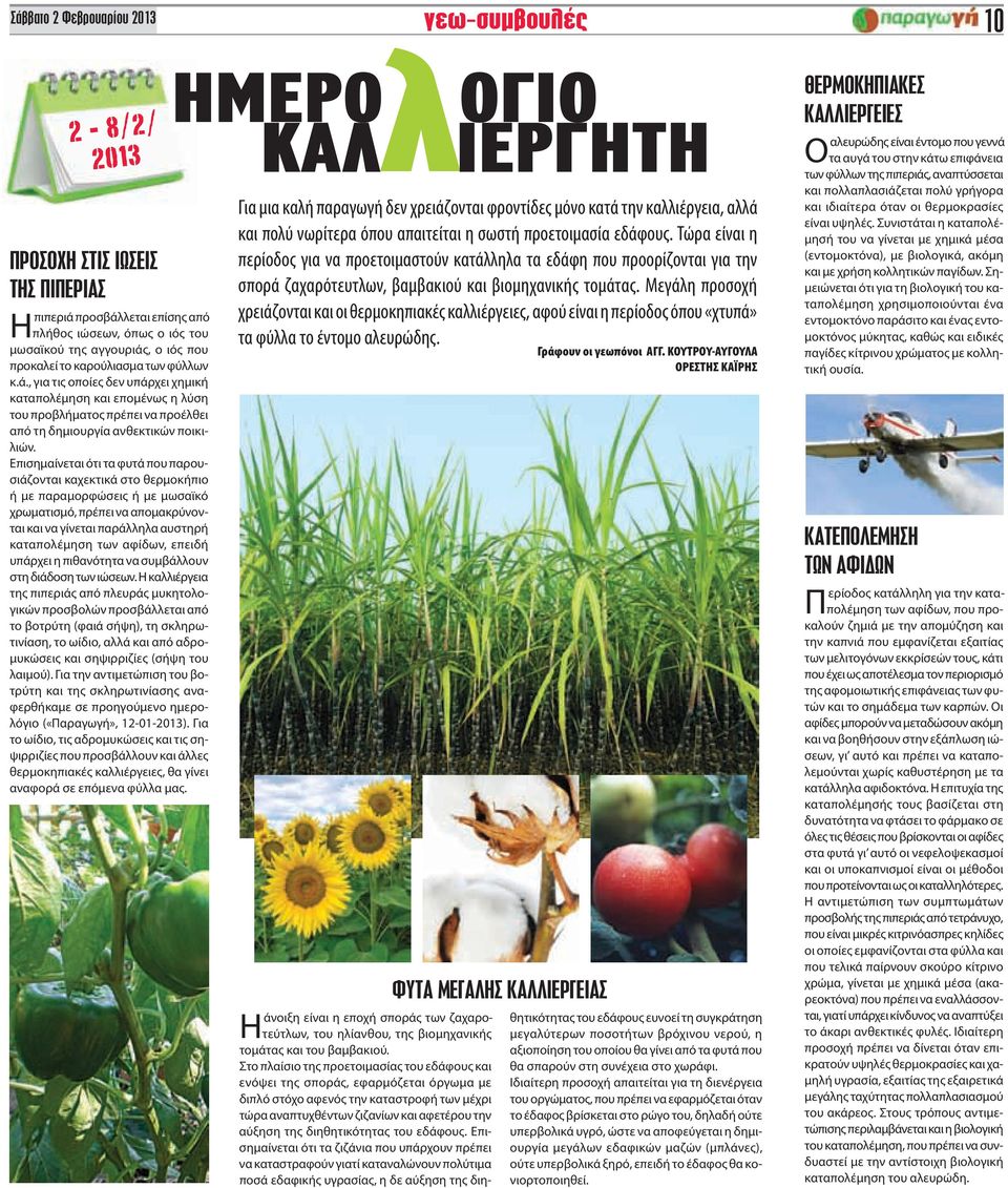 Επισημαίνεται ότι τα φυτά που παρουσιάζονται καχεκτικά στο θερμοκήπιο ή με παραμορφώσεις ή με μωσαϊκό χρωματισμό, πρέπει να απομακρύνονται και να γίνεται παράλληλα αυστηρή καταπολέμηση των αφίδων,