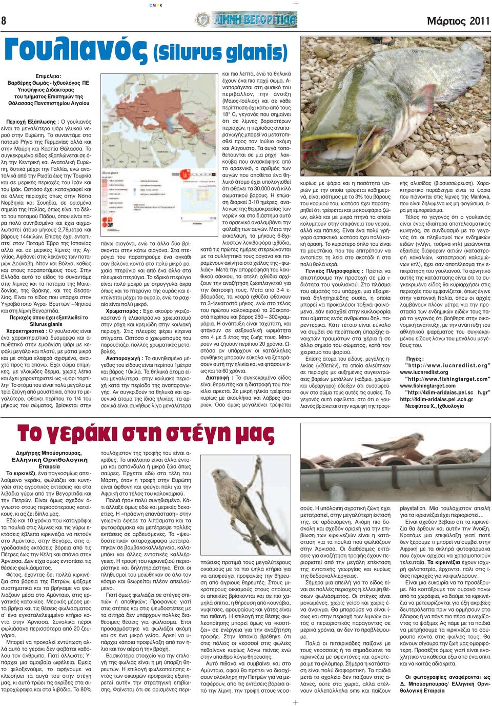 Το συγκεκριµένο είδος εξαπλώνεται σε ό- λη την Κεντρική και Ανατολική Ευρώπη, δυτικά µέχρι την Γαλλία, ενώ ανατολικά από την Ρωσία έως την Τουρκία και σε µερικές περιοχές του Ιράν και του Ιράκ.