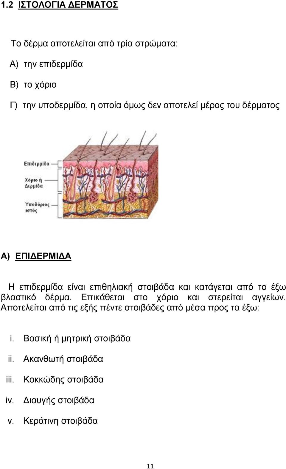 αθαζηζηυ δένια. Δπζηάεεηαζ ζημ πυνζμ ηαζ ζηενείηαζ αββείςκ.