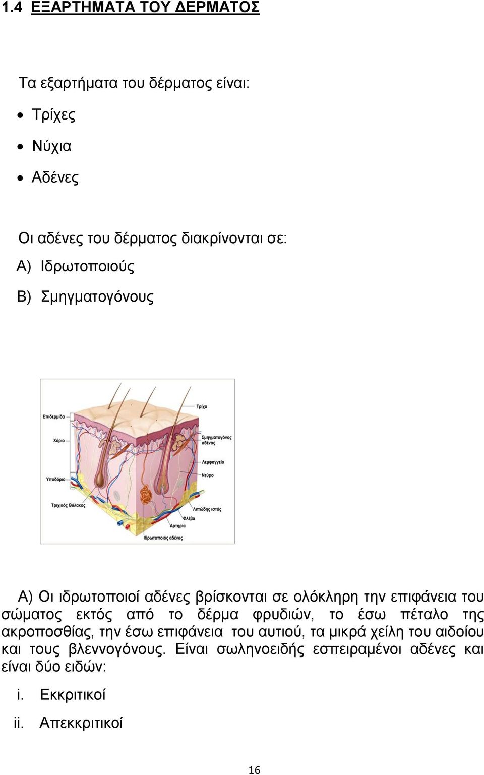 ημο ζχιαημξ εηηυξ απυ ημ δένια θνοδζχκ, ημ έζς πέηαθμ ηδξ αηνμπμζείαξ, ηδκ έζς επζθάκεζα ημο αοηζμφ, ηα ιζηνά