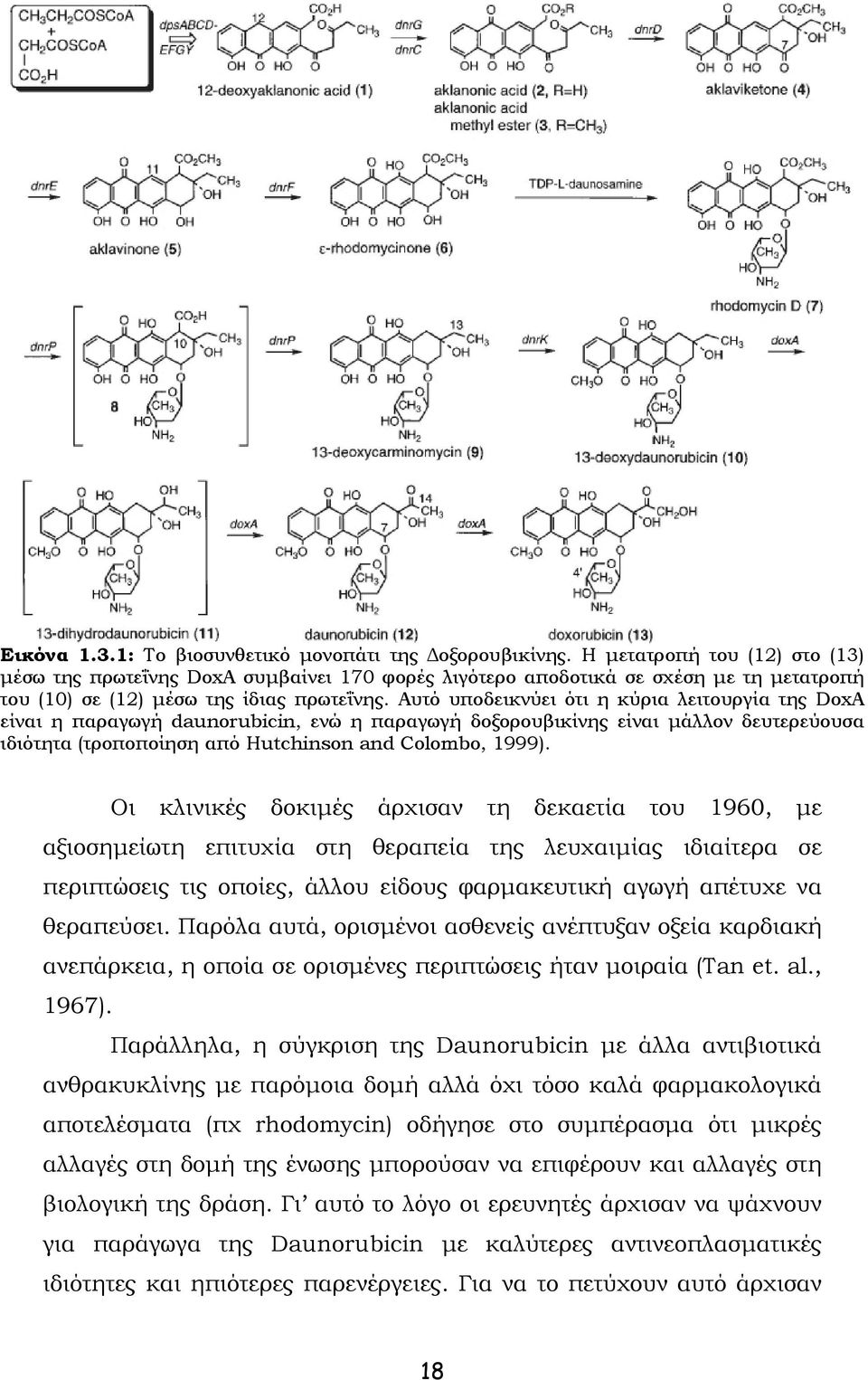 Αυτό υποδεικνύει ότι η κύρια λειτουργία της DoxA είναι η παραγωγή daunorubicin, ενώ η παραγωγή δοξορουβικίνης είναι μάλλον δευτερεύουσα ιδιότητα (τροποποίηση από Hutchinson and Colombo, 1999).