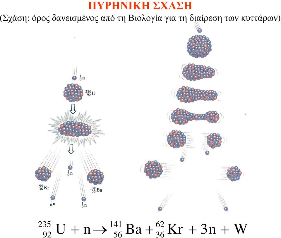 τη διαίρεση των κυττάρων) 141