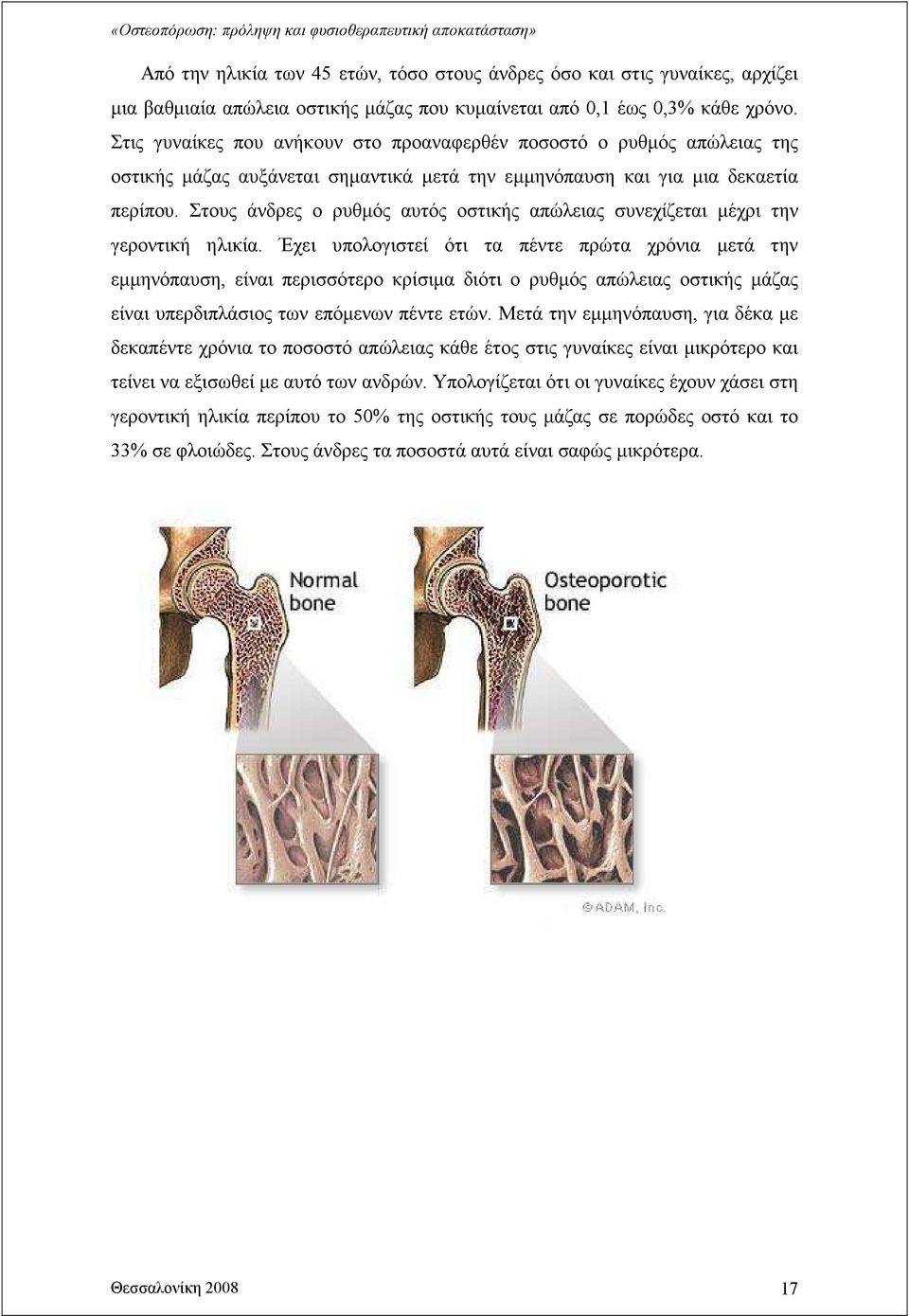 Στους άνδρες ο ρυθµός αυτός οστικής απώλειας συνεχίζεται µέχρι την γεροντική ηλικία.