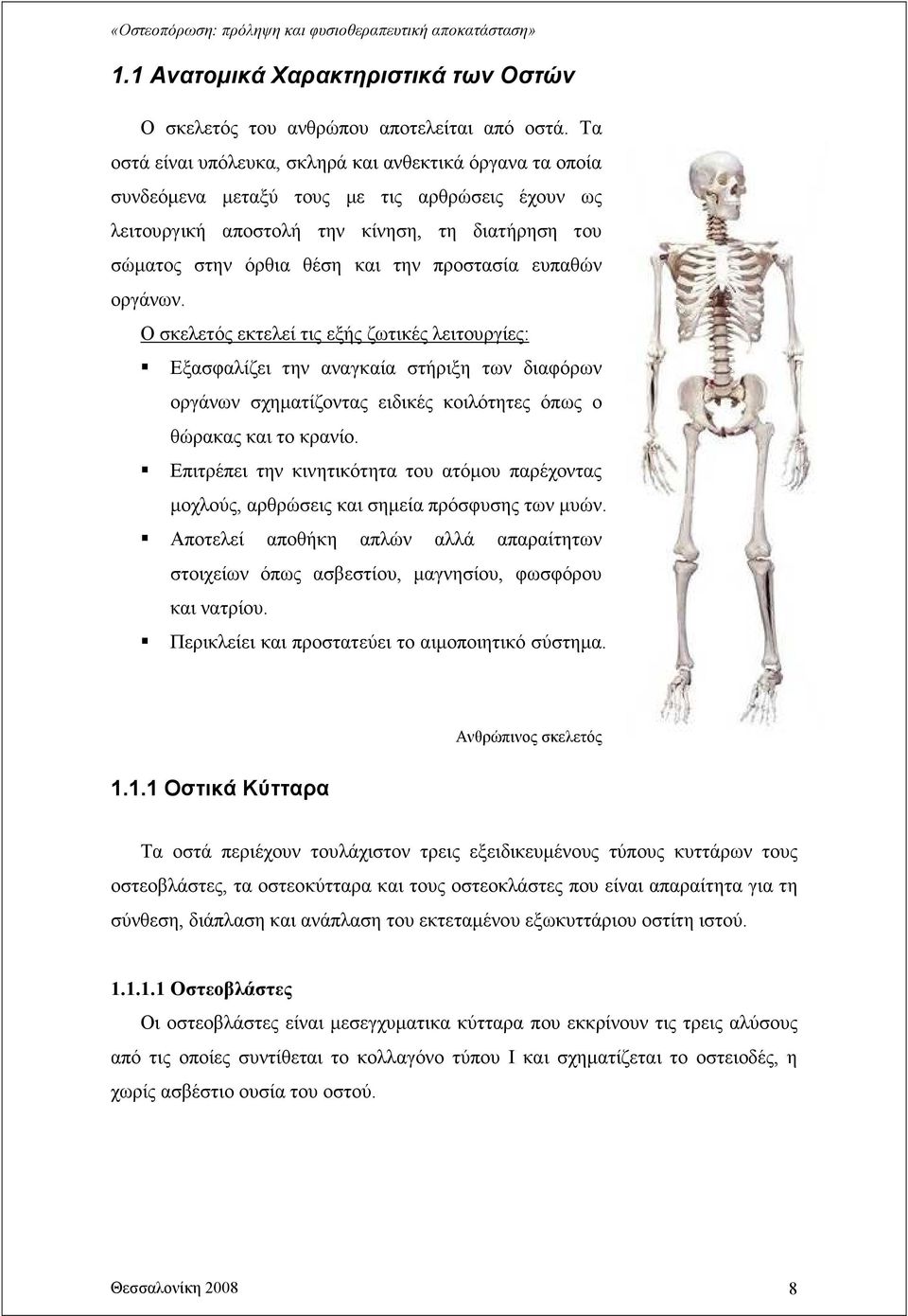 προστασία ευπαθών οργάνων. Ο σκελετός εκτελεί τις εξής ζωτικές λειτουργίες: Εξασφαλίζει την αναγκαία στήριξη των διαφόρων οργάνων σχηµατίζοντας ειδικές κοιλότητες όπως ο θώρακας και το κρανίο.