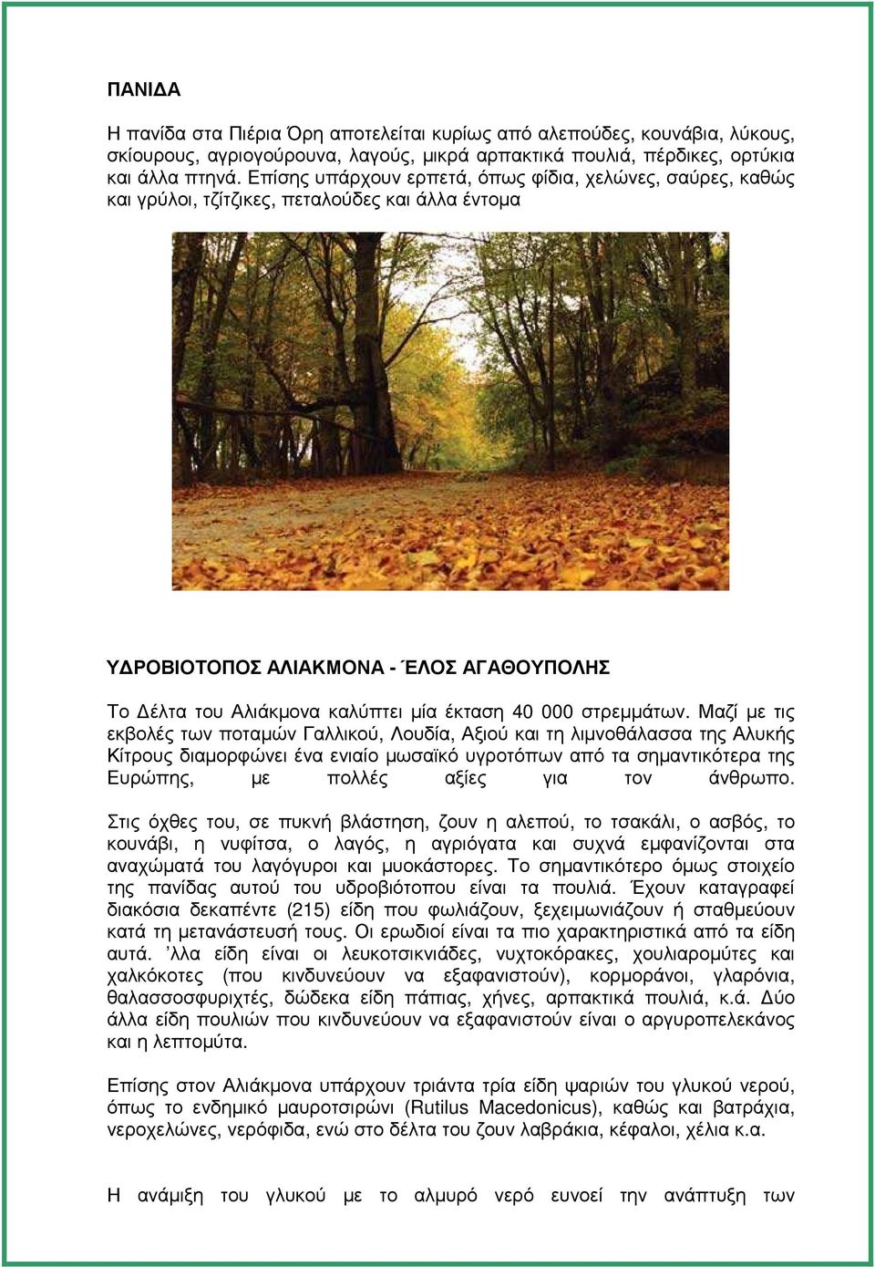 στρεµµάτων.