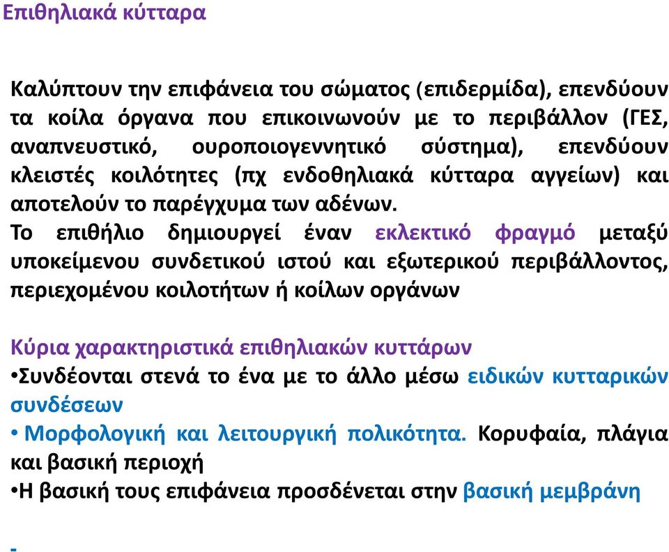 Το επιθήλιο δημιουργεί έναν εκλεκτικό φραγμό μεταξύ υποκείμενου συνδετικού ιστού και εξωτερικού περιβάλλοντος, περιεχομένου κοιλοτήτων ή κοίλων οργάνων Κύρια