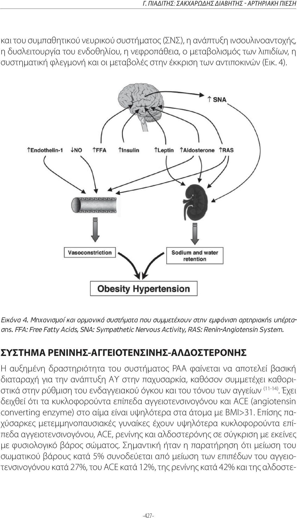 FFA: Free Fatty Acids, SNA: Sympathetic Nervous Activity, RAS: Renin-Angiotensin System.