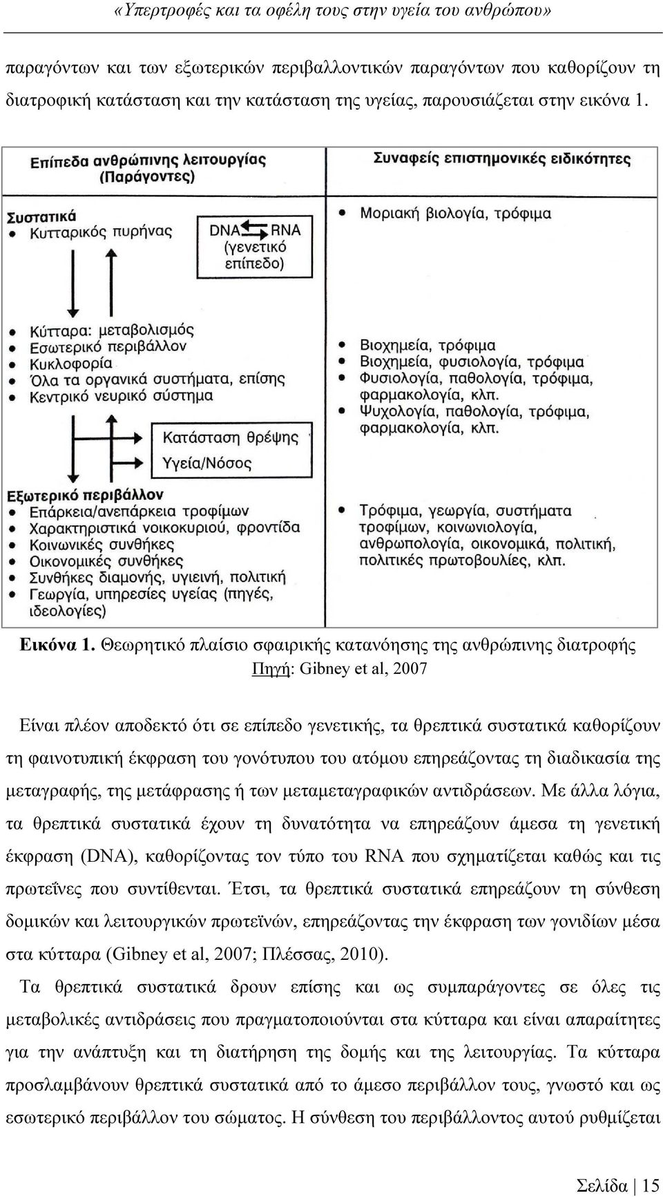 γονότυπου του ατόµου επηρεάζοντας τη διαδικασία της µεταγραφής, της µετάφρασης ή των µεταµεταγραφικών αντιδράσεων.