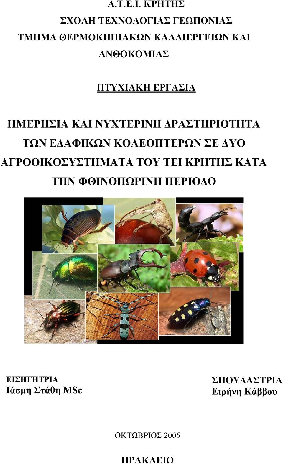 ΑΝΘΟΚΟΜΙΑΣ ΠΤΥΧΙΑΚΗ ΕΡΓΑΣΙΑ ΗΜΕΡΗΣΙΑ ΚΑΙ ΝΥΧΤΕΡΙΝΗ ΡΑΣΤΗΡΙΟΤΗΤΑ ΤΩΝ Ε ΑΦΙΚΩΝ