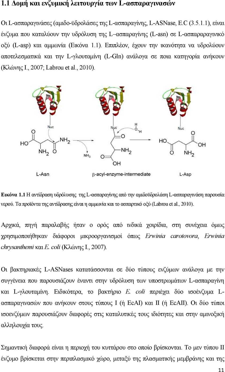 1 Η αντίδραση υδρόλυσης της L-ασπαραγίνης από την αμιδοϋδρολάση L-ασπαραγινάση παρουσία νερού. Τα προϊόντα της αντίδρασης είναι η αμμωνία και το ασπαρτικό οξύ (Labrou et al., 2010).