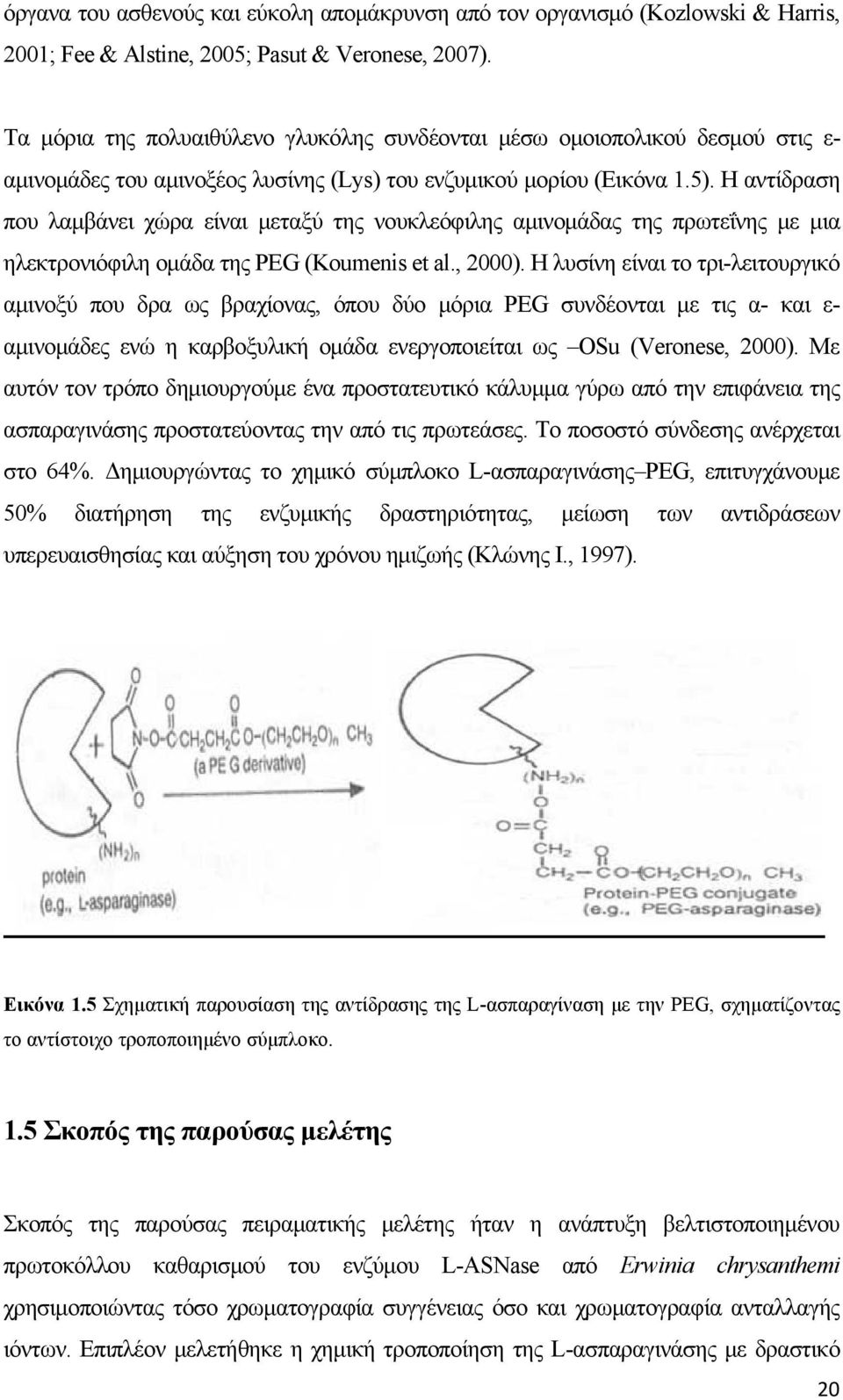 Η αντίδραση που λαμβάνει χώρα είναι μεταξύ της νουκλεόφιλης αμινομάδας της πρωτεΐνης με μια ηλεκτρονιόφιλη ομάδα της PEG (Κoumenis et al., 2000).