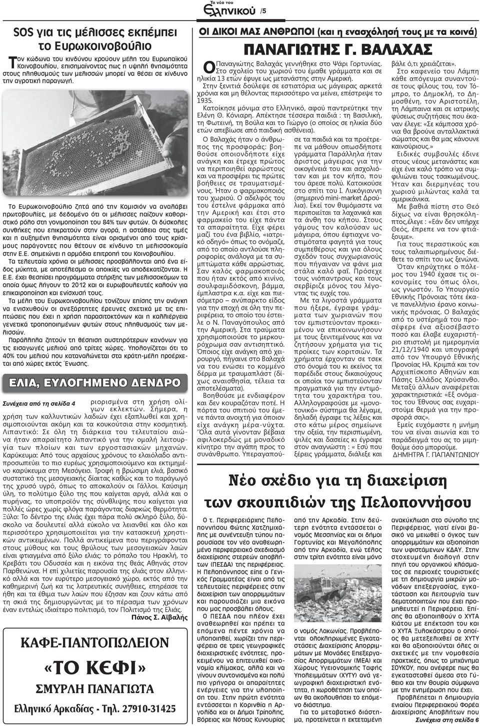 Οι δύσκολες συνθήκες που επικρατούν στην αγορά, η αστάθεια στις τιμές και η αυξημένη θνησιμότητα είναι ορισμένοι από τους κρίσιμους παράγοντες που θέτουν σε κίνδυνο τη μελισσοκομία στην Ε.