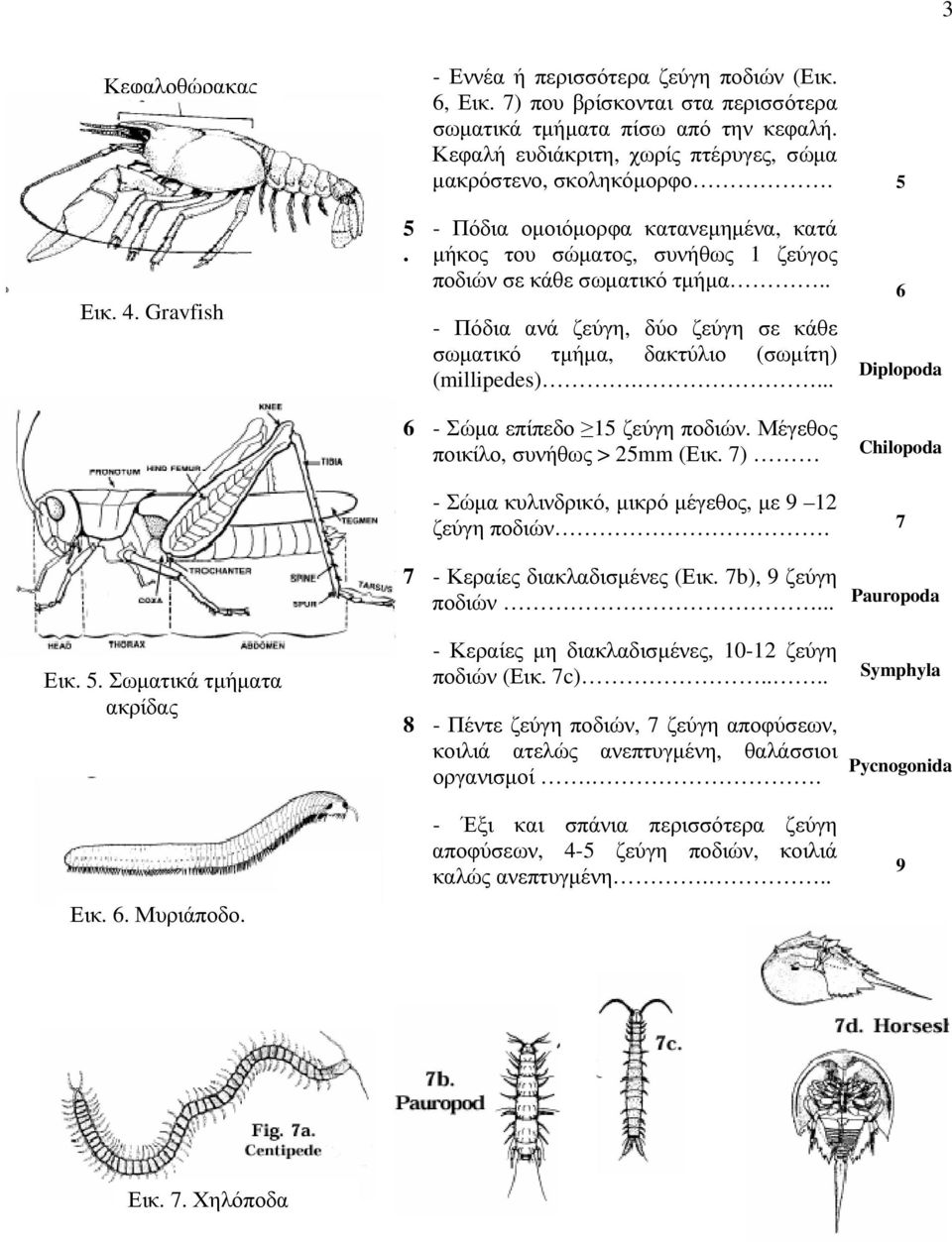 . - Πόδια ανά ζεύγη, δύο ζεύγη σε κάθε σωματικό τμήμα, δακτύλιο (σωμίτη) (millipedes).... 6 Diplopoda 6 - Σώμα επίπεδο 15 ζεύγη ποδιών. Μέγεθος ποικίλο, συνήθως > 25mm (Εικ.