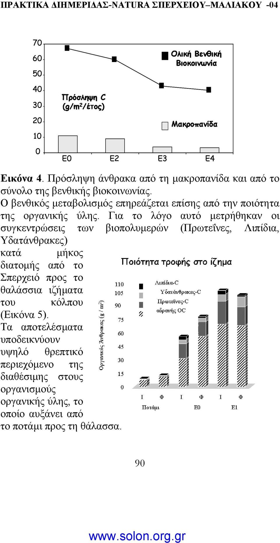 Ο βενθικός µεταβολισµός επηρεάζεται επίσης από την ποιότητα της οργανικής ύλης.