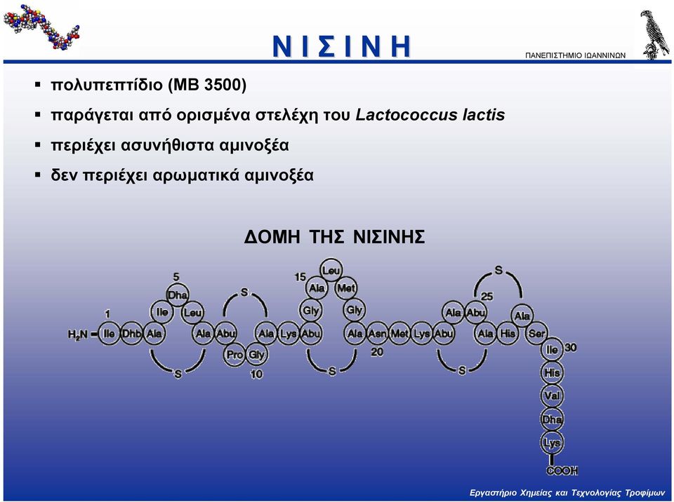 Lactococcus lactis περιέχει ασυνήθιστα