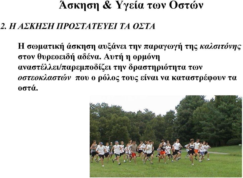 παραγωγή της καλσιτόνης στον θυρεοειδή αδένα.