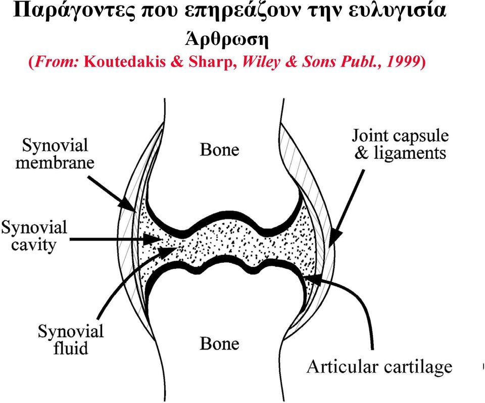 (From: Koutedakis &
