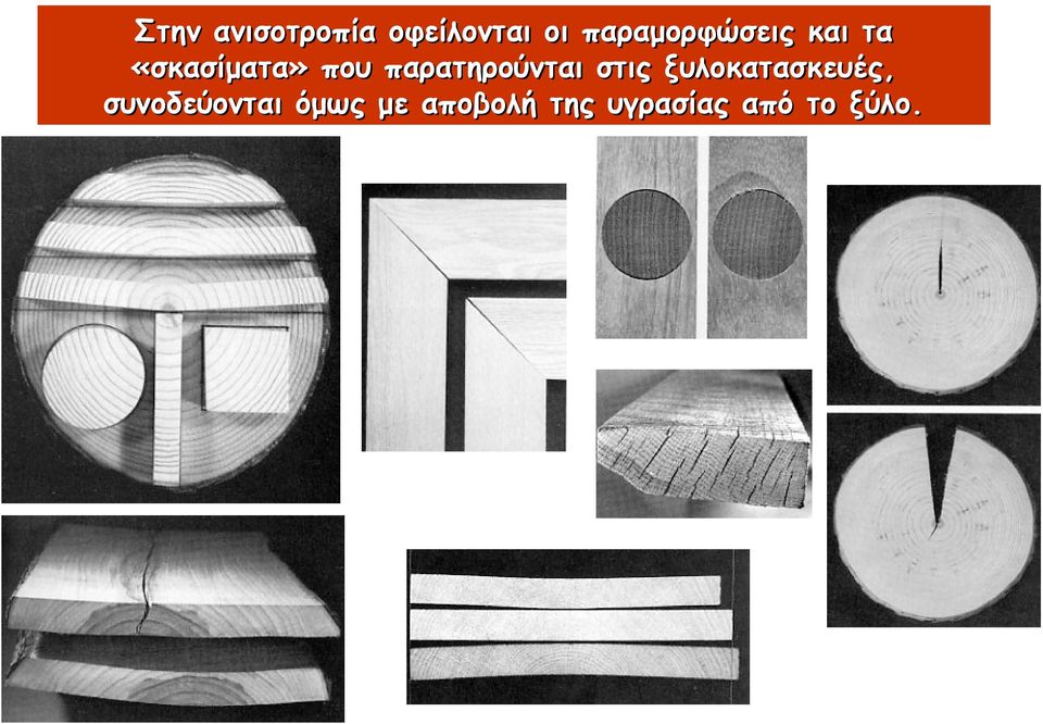 παρατηρούνται στις ξυλοκατασκευές,