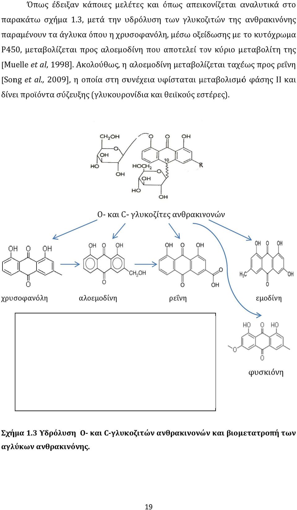 μεταβολίτη της [Muelle et al, 1998]. Ακολούθως, η αλοεμοδίνη μεταβολίζεται ταχέως προς ρεΐνη [Song et al.