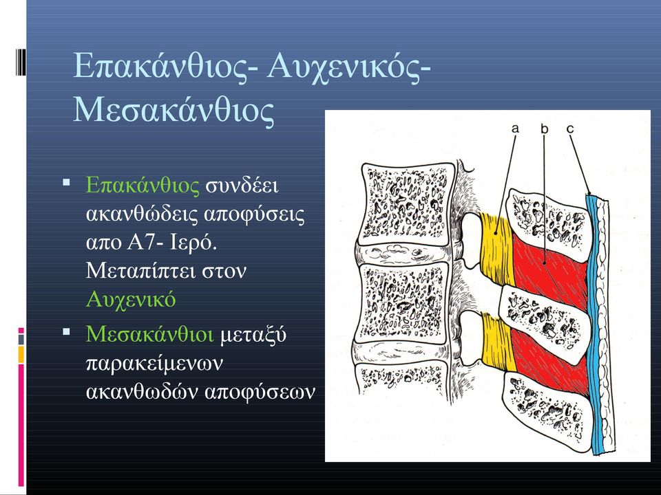 απο Α7- Ιερό.