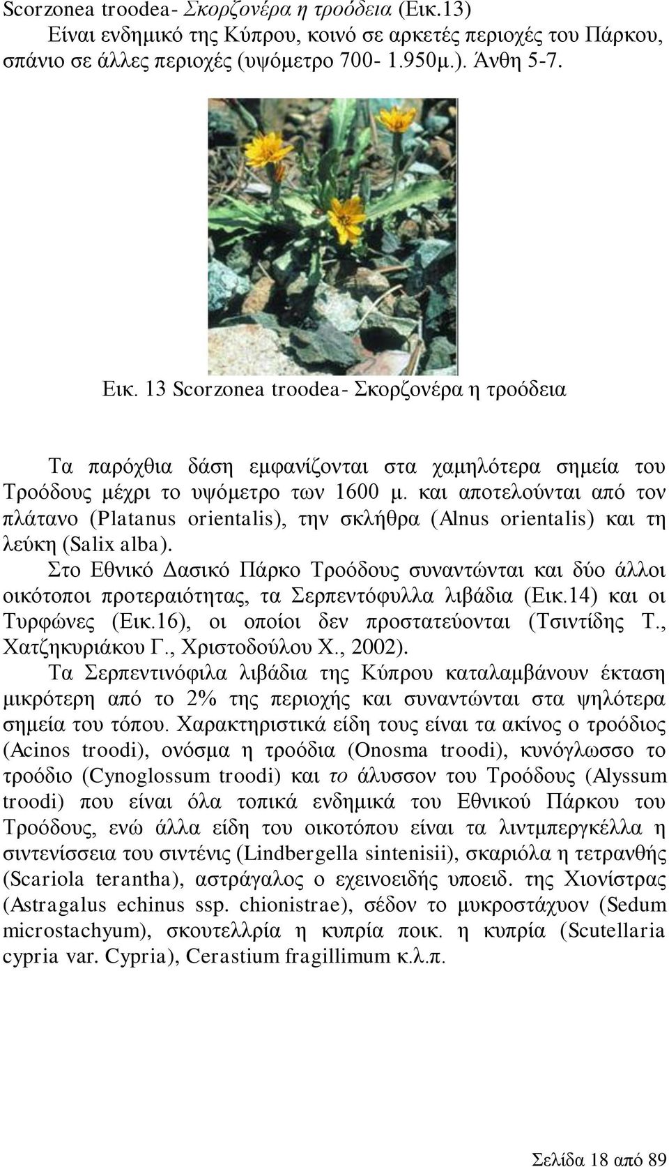 και αποτελούνται από τον πλάτανο (Platanus orientalis), την σκλήθρα (Alnus orientalis) και τη λεύκη (Salix alba).
