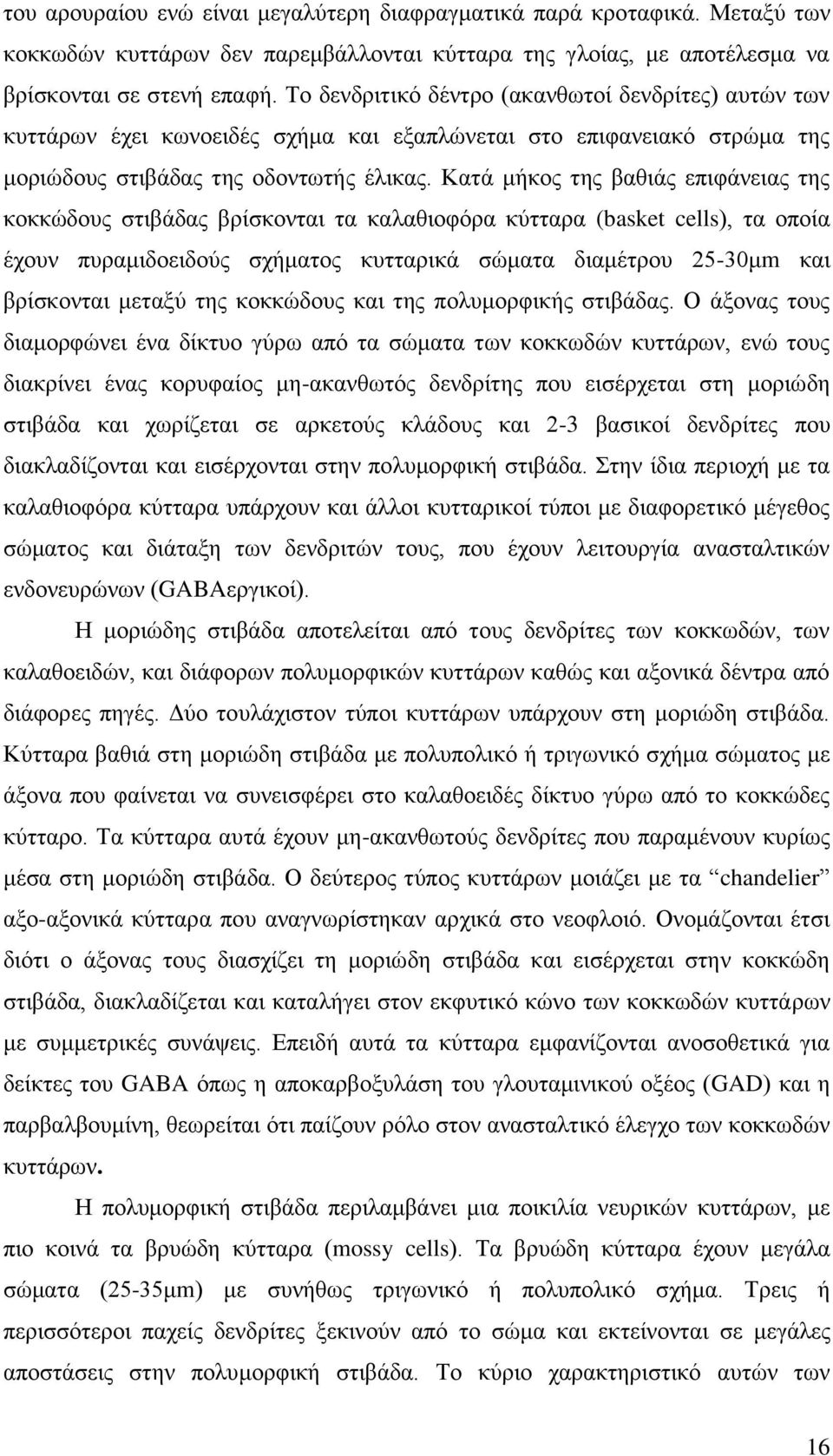Καηά κήθνο ηεο βαζηάο επηθάλεηαο ηεο θνθθώδνπο ζηηβάδαο βξίζθνληαη ηα θαιαζηνθόξα θύηηαξα (basket cells), ηα νπνία έρνπλ ππξακηδνεηδνύο ζρήκαηνο θπηηαξηθά ζώκαηα δηακέηξνπ 25-30κm θαη βξίζθνληαη