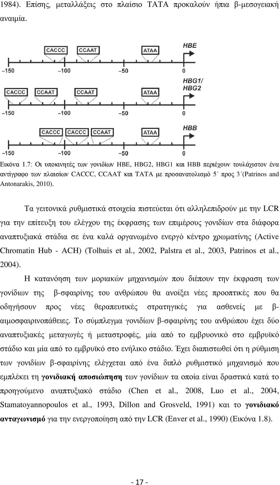 Τα γειτονικά ρυθμιστικά στοιχεία πιστεύεται ότι αλληλεπιδρούν με την LCR για την επίτευξη του ελέγχου της έκφρασης των επιμέρους γονιδίων στα διάφορα αναπτυξιακά στάδια σε ένα καλά οργανωμένο ενεργό