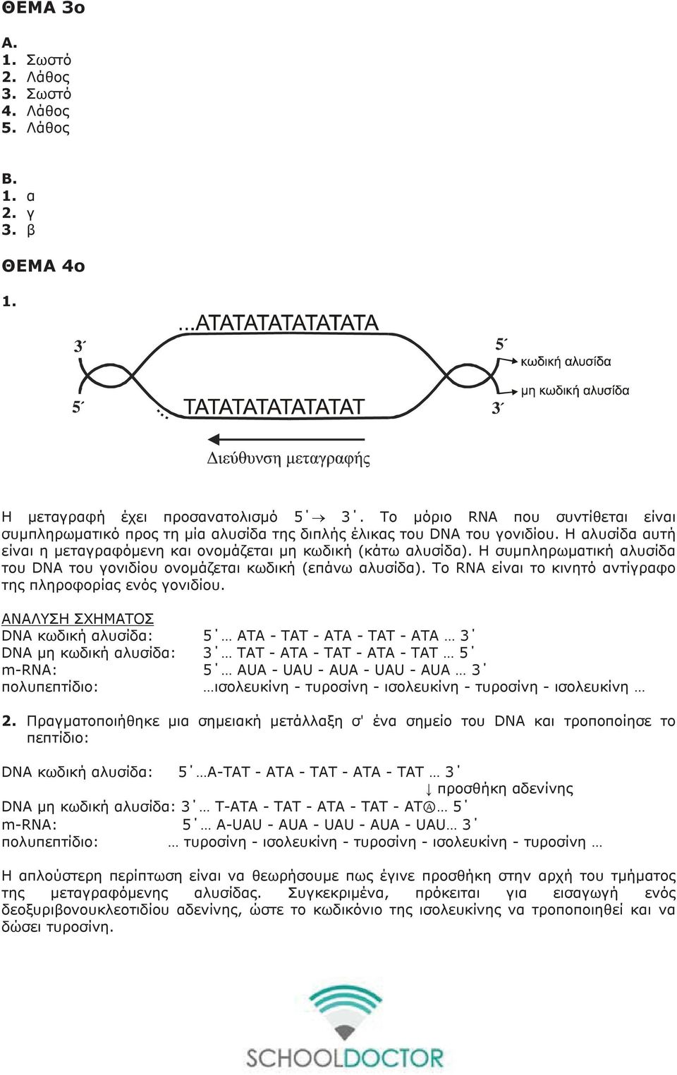 Η συμπληρωματική αλυσίδα του DNA του γονιδίου ονομάζεται κωδική (επάνω αλυσίδα). Το RNA είναι το κινητό αντίγραφο της πληροφορίας ενός γονιδίου.