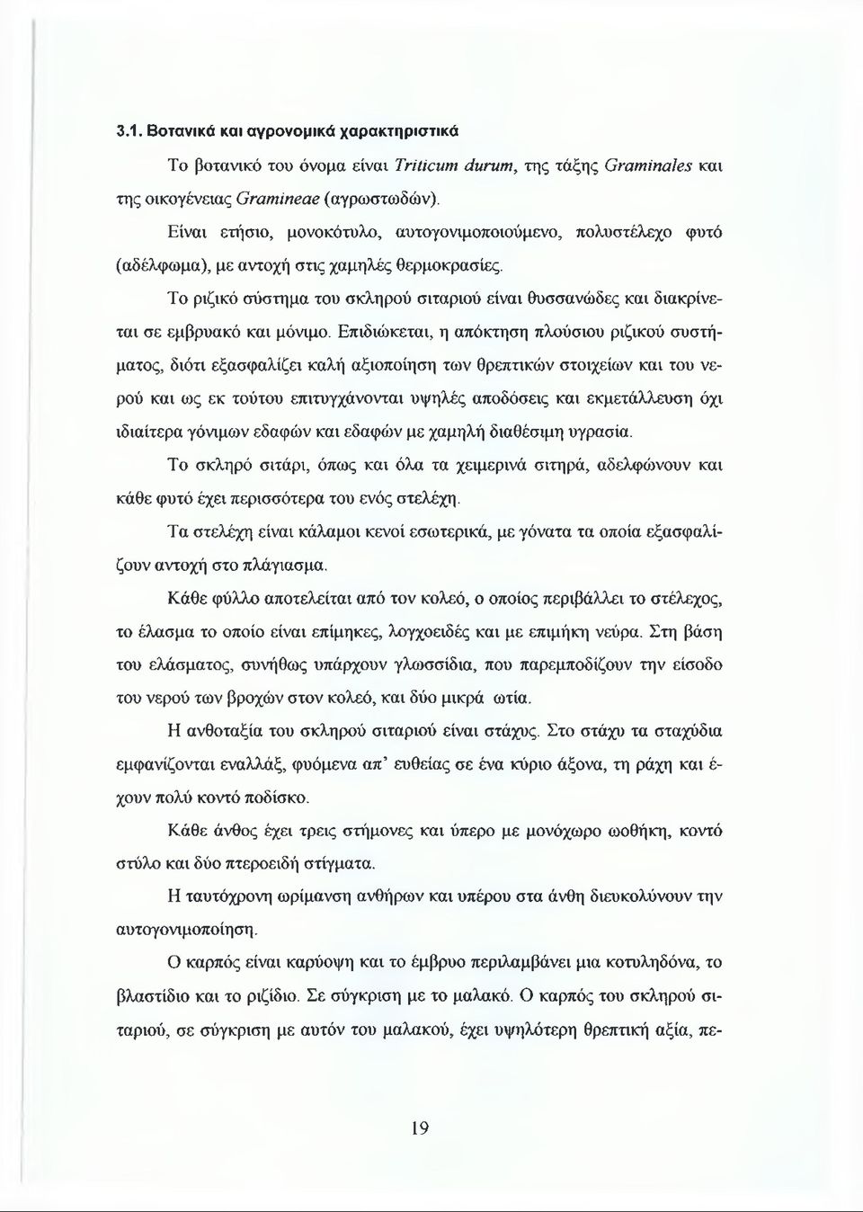 Το ριζικό σύστημα του σκληρού σιταριού είναι θυσσανώδες και διακρίνεται σε εμβρυακό και μόνιμο.