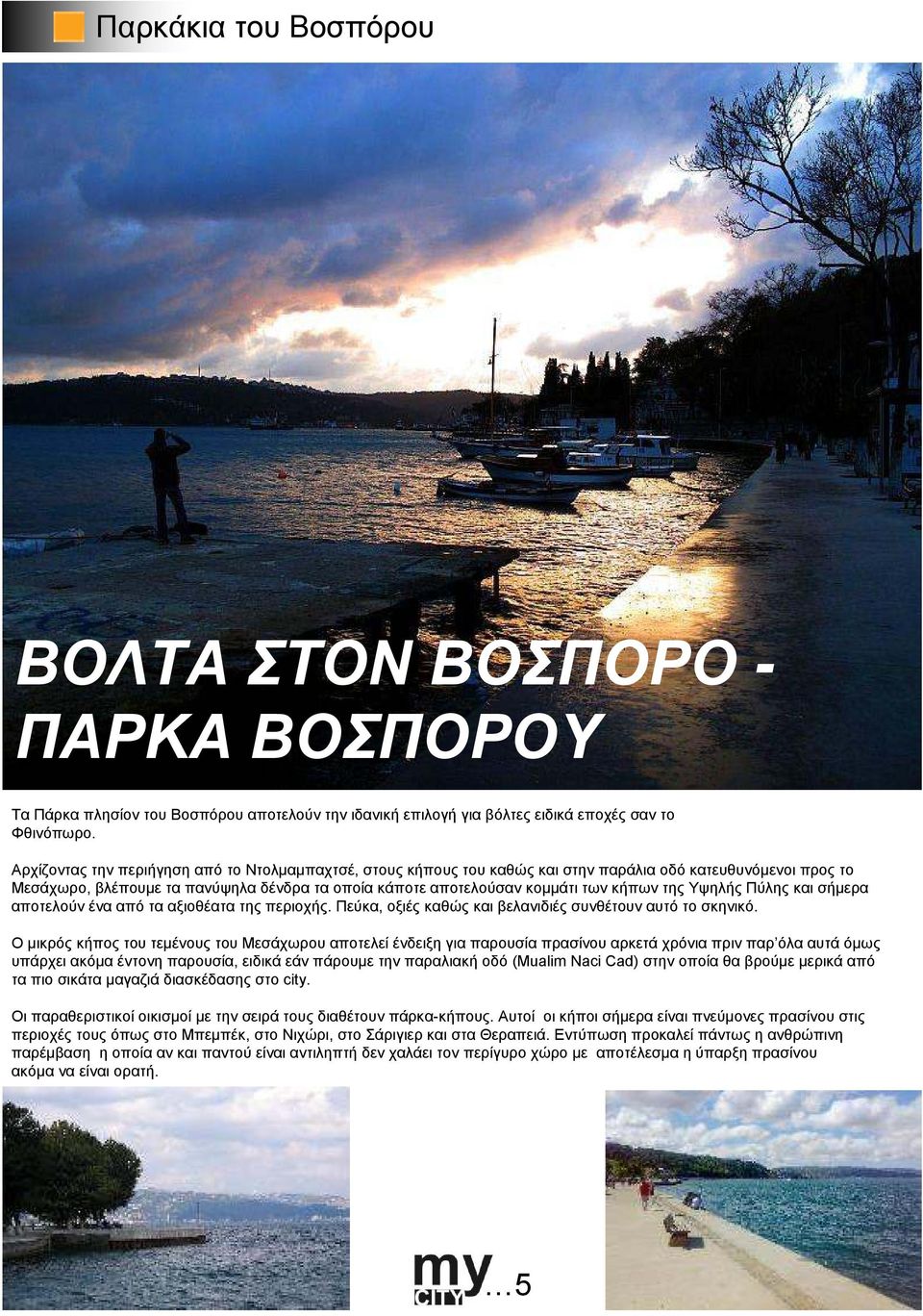 της Υψηλής Πύλης και σήµερα αποτελούν ένα από τα αξιοθέατα της περιοχής. Πεύκα, οξιές καθώς και βελανιδιές συνθέτουν αυτό το σκηνικό.