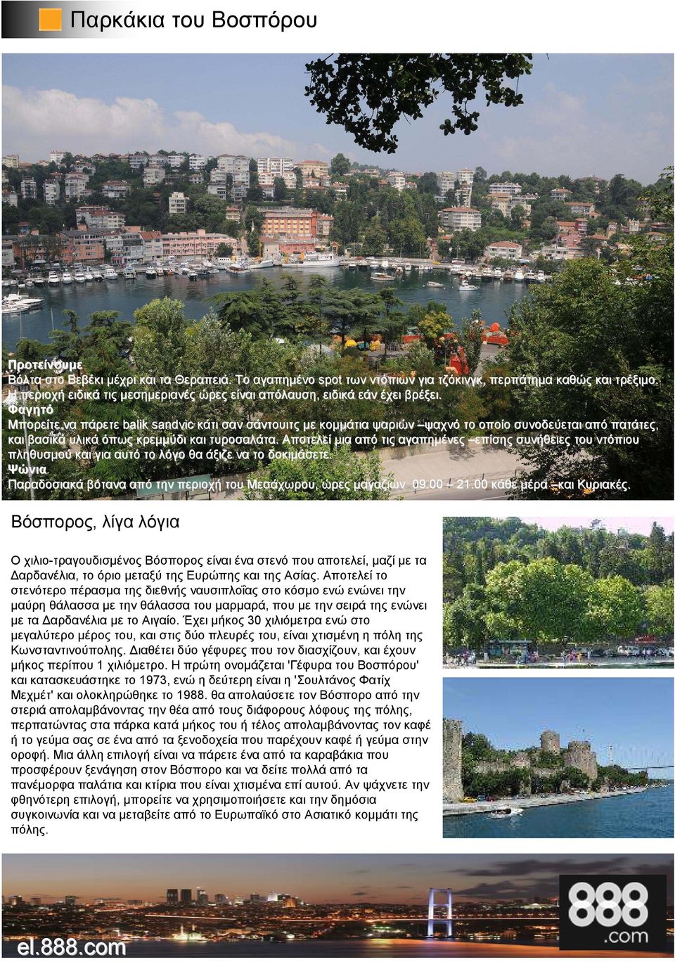 Φαγητό Μπορείτε να πάρετε balik sandvic κάτι σαν σάντουιτς µε κοµµάτια ψαριών ψαχνό το οποίο συνοδεύεται από πατάτες, και βασικά υλικά όπως κρεµµύδι και τυροσαλάτα.