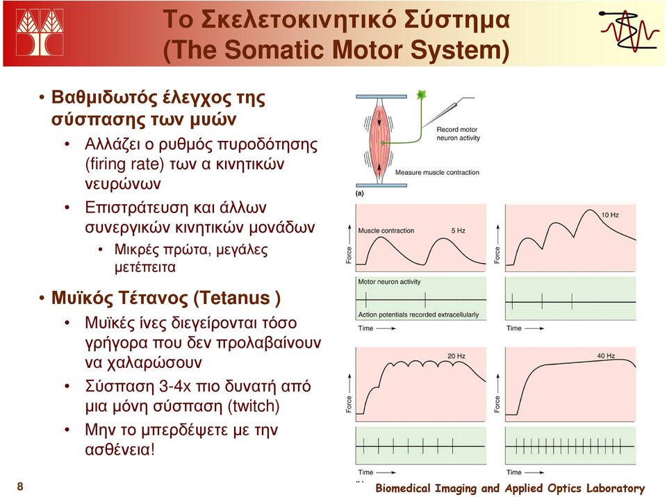 µονάδων Μικρές πρώτα, µεγάλες µετέπειτα Μυϊκός Τέτανος (Tetanus ) Μυϊκές ίνες διεγείρονται τόσο γρήγορα που