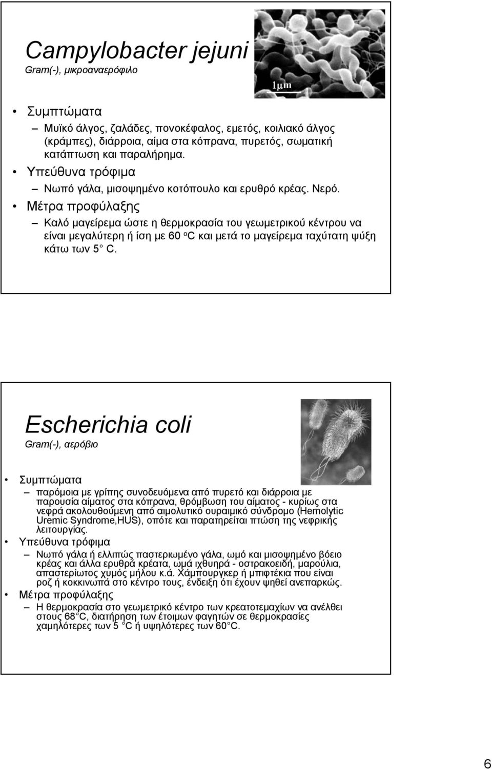 Escherichia coli Gram(-), αερόβιο παρόμοια με γρίπης συνοδευόμενα από πυρετό και διάρροια με παρουσία αίματος στα κόπρανα, θρόμβωση του αίματος - κυρίως στα νεφρά ακολουθούμενη από αιμολυτικό