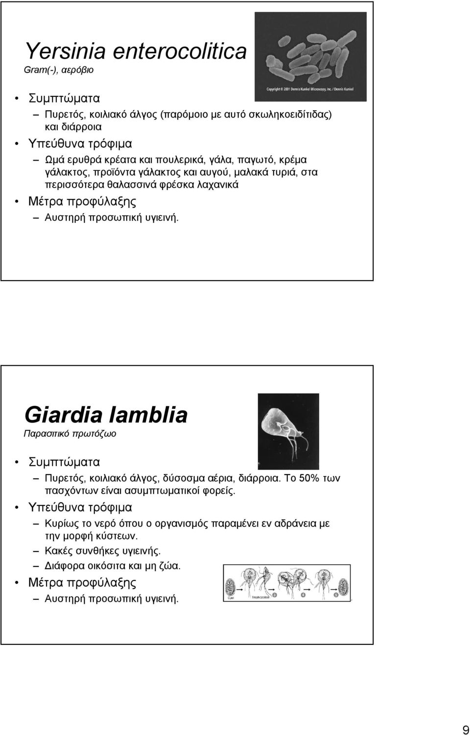 υγιεινή. Giardia lamblia Παρασιτικό πρωτόζωο Πυρετός, κοιλιακό άλγος, δύσοσμα αέρια, διάρροια. Το 50% των πασχόντων είναι ασυμπτωματικοί φορείς.
