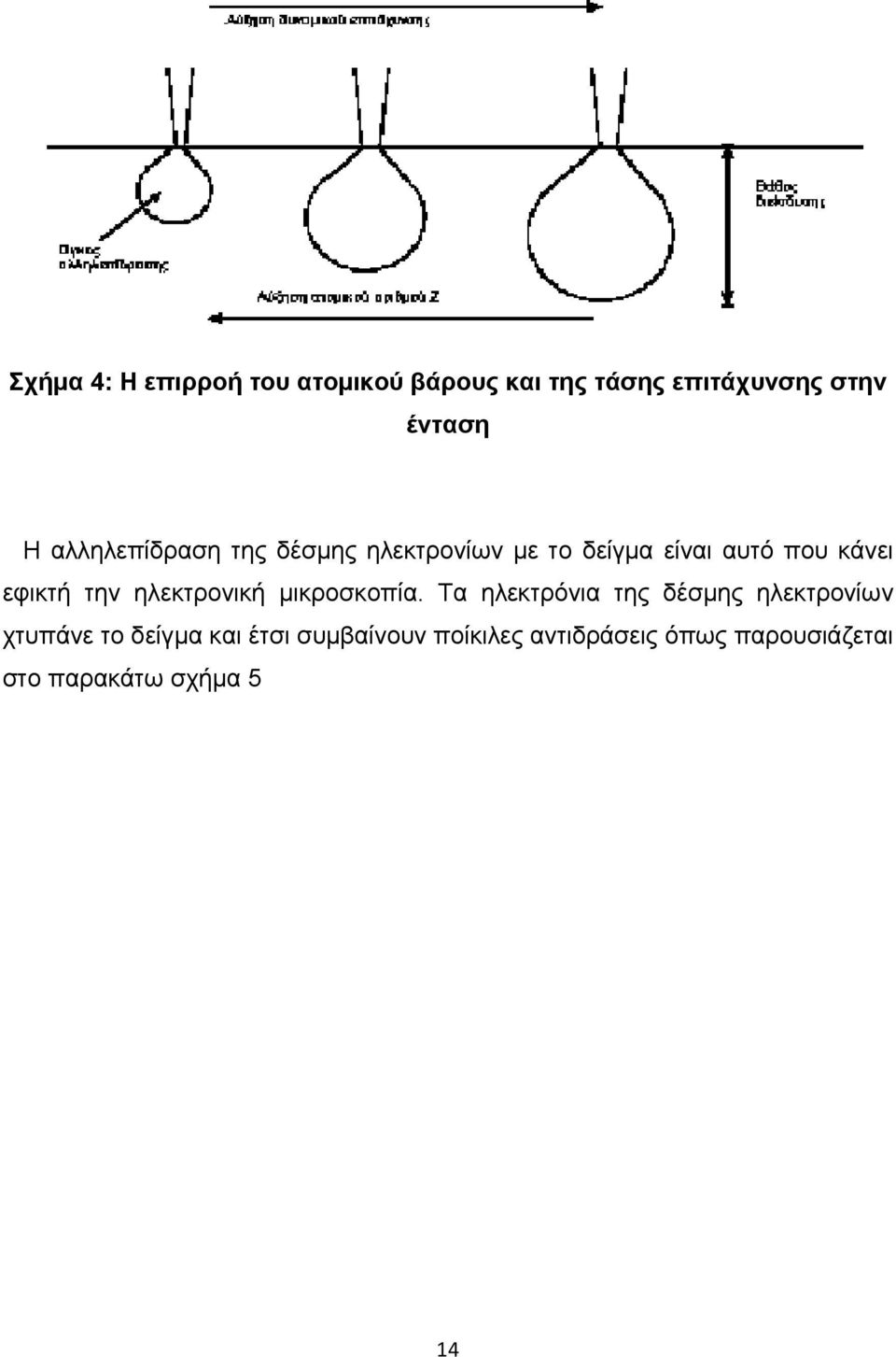 την ηλεκτρονική μικροσκοπία.