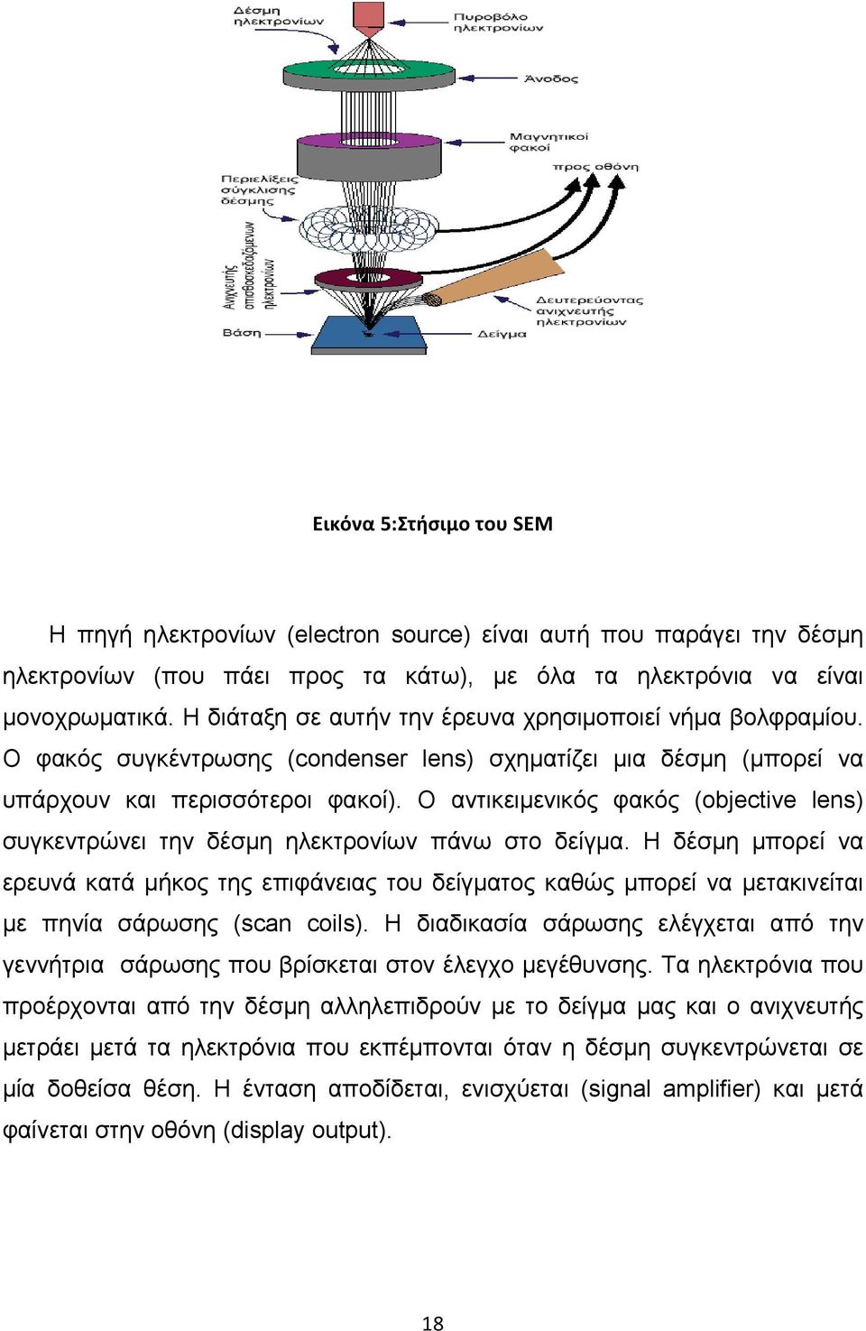 Ο αντικειμενικός φακός (objective lens) συγκεντρώνει την δέσμη ηλεκτρονίων πάνω στο δείγμα.