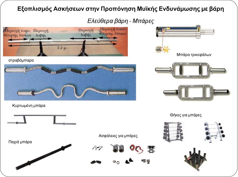 στραβόµπαρα Μπάρα τρικεφάλων Κυρτωµένη µπάρα