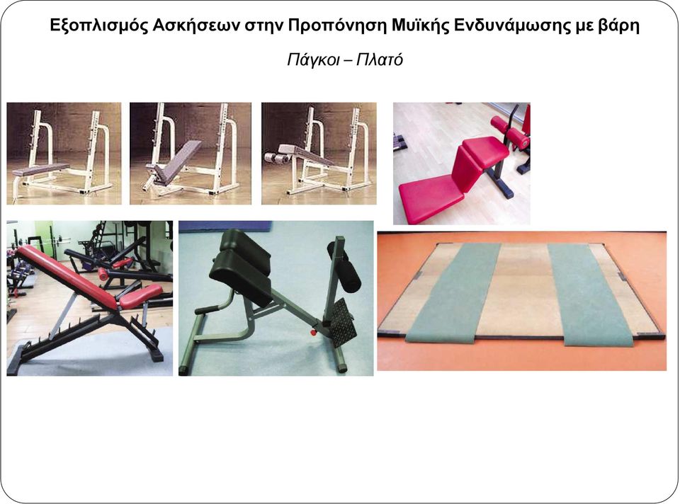Προπόνηση Μυϊκής