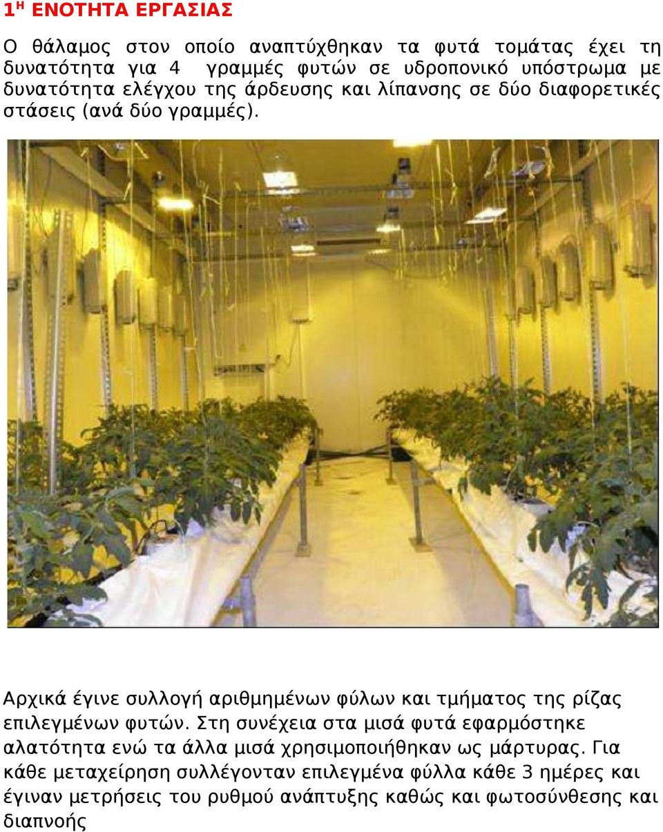 Αρχικά έγινε συλλογή αριθμημένων φύλων και τμήματος της ρίζας επιλεγμένων φυτών.