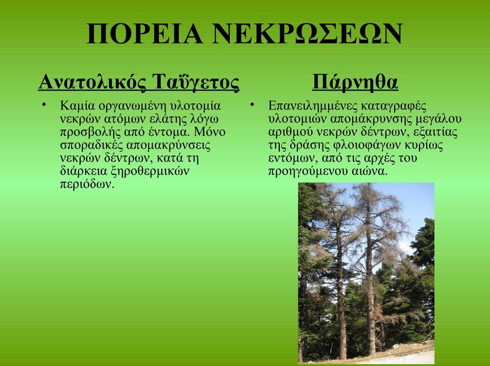 Μόνο σποραδικές απομακρύνσεις νεκρών δέντρων, κατά τη διάρκεια ξηροθερμικών περιόδων.