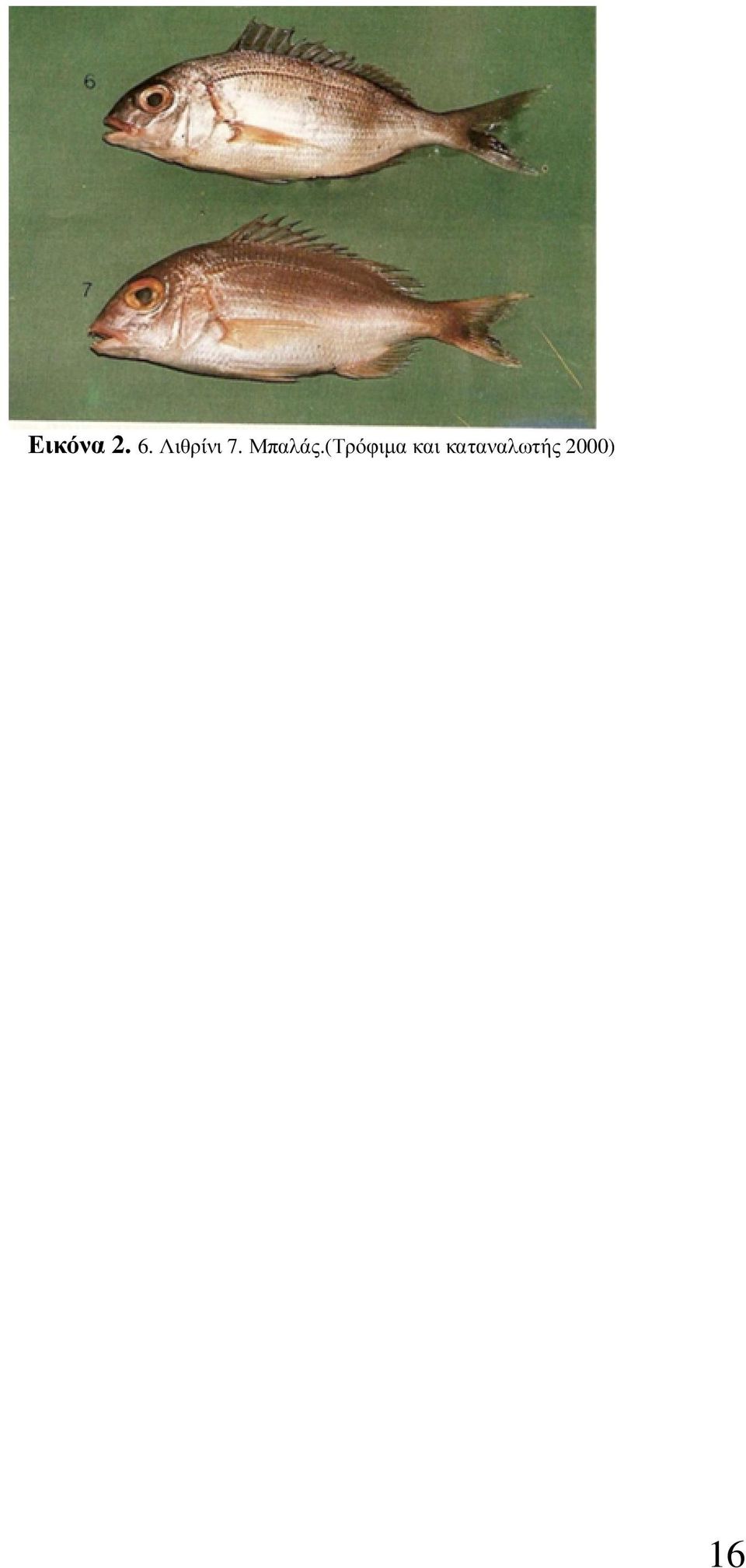 Μπαλάς.