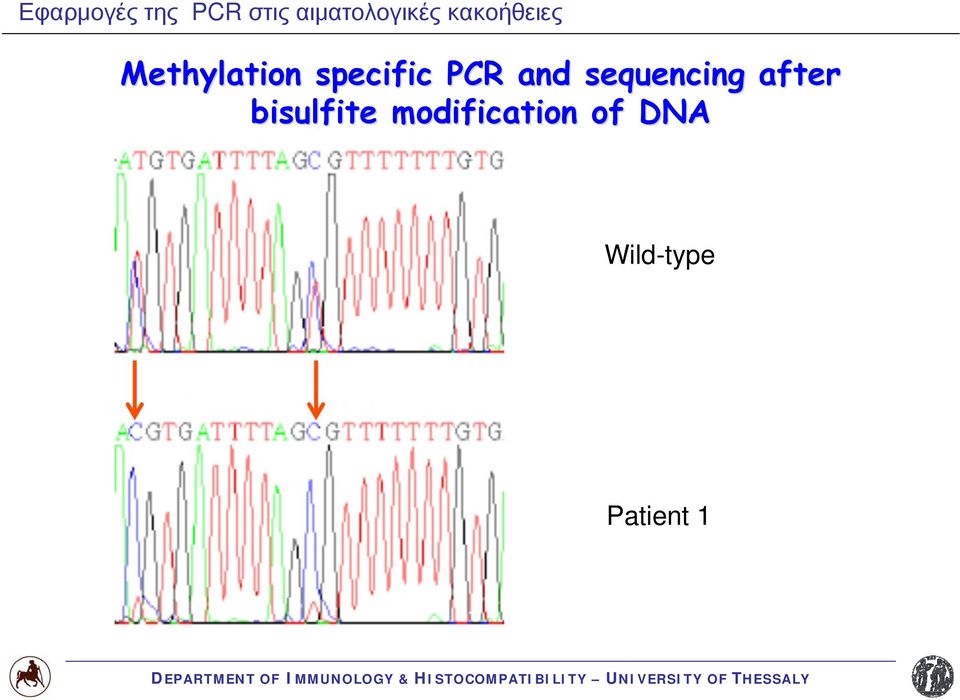 Methylation specific PCR and