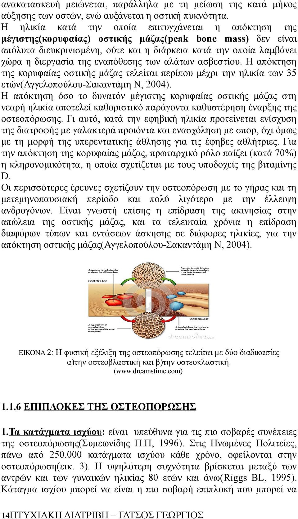 της εναπόθεσης των αλάτων ασβεστίου. Η απόκτηση της κορυφαίας οστικής μάζας τελείται περίπου μέχρι την ηλικία των 35 ετών(αγγελοπούλου-σακαντάμη Ν, 2004).