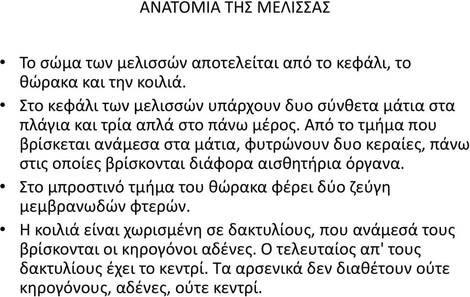 Από το τμιμα που βρίςκεται ανάμεςα ςτα μάτια, φυτρϊνουν δυο κεραίεσ, πάνω ςτισ οποίεσ βρίςκονται διάφορα αιςκθτιρια όργανα.
