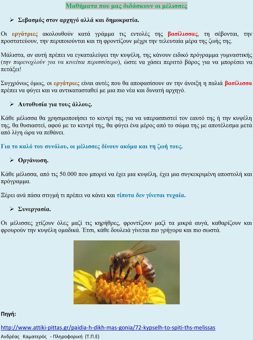 Κυψέλη - το σπίτι της μέλισσας - PDF ΔΩΡΕΑΝ Λήψη