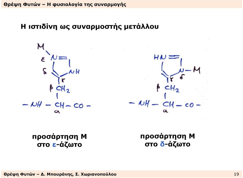 ε-άζωτο προσάρτηση Μ στο