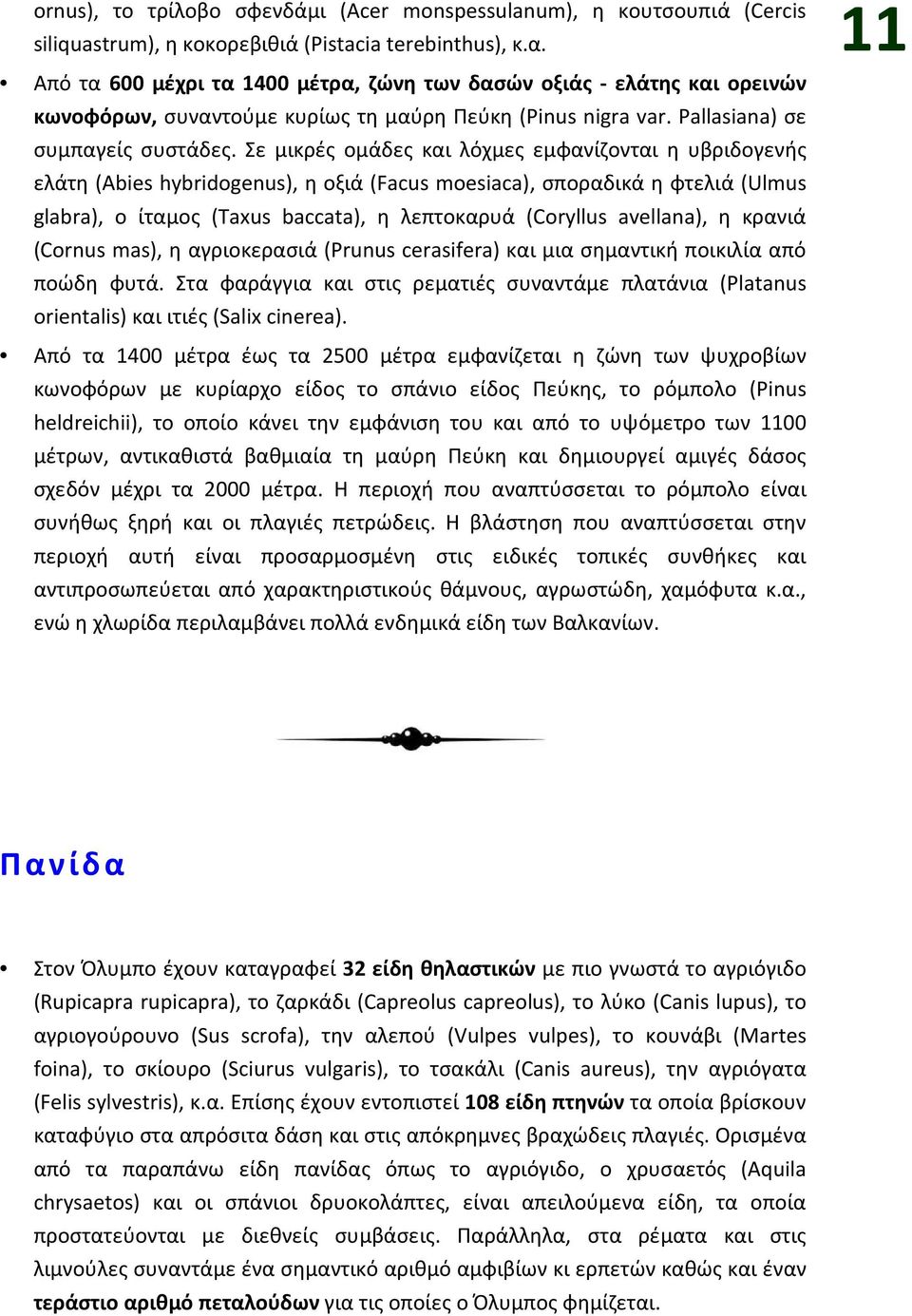 Σε μικρές ομάδες και λόχμες εμφανίζονται η υβριδογενής ελάτη (Abies hybridogenus), η οξιά (Facus moesiaca), σποραδικά η φτελιά (Ulmus glabra), ο ίταμος (Taxus baccata), η λεπτοκαρυά (Coryllus